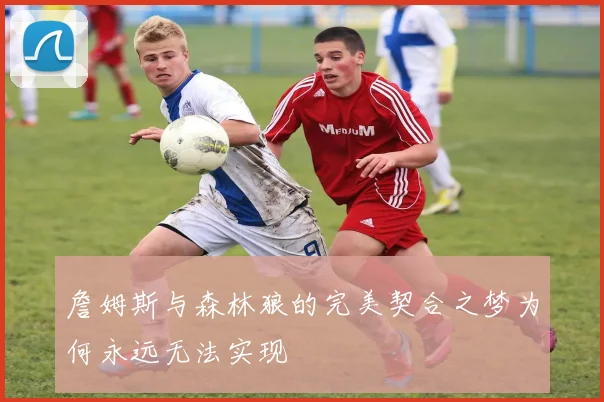詹姆斯与森林狼的完美契合之梦为何永远无法实现